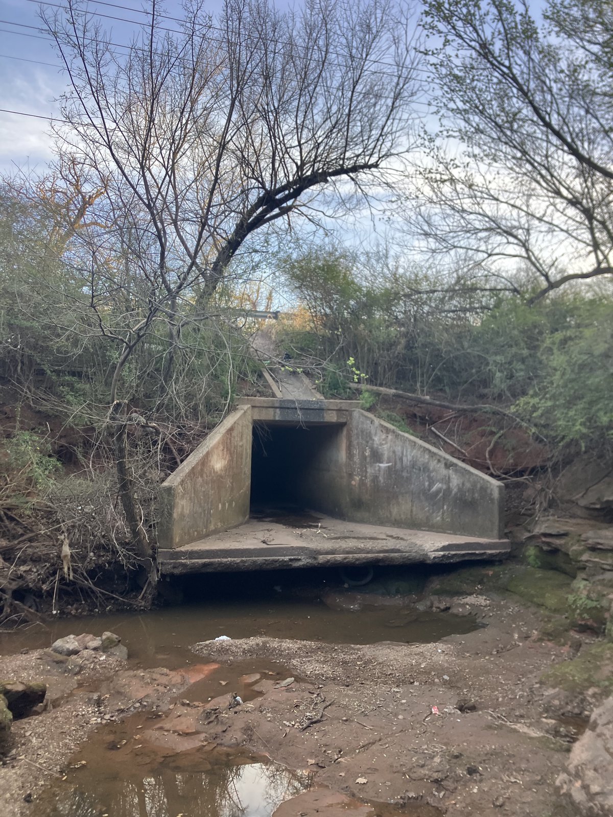 Roadway culvert outlet during a field investigation