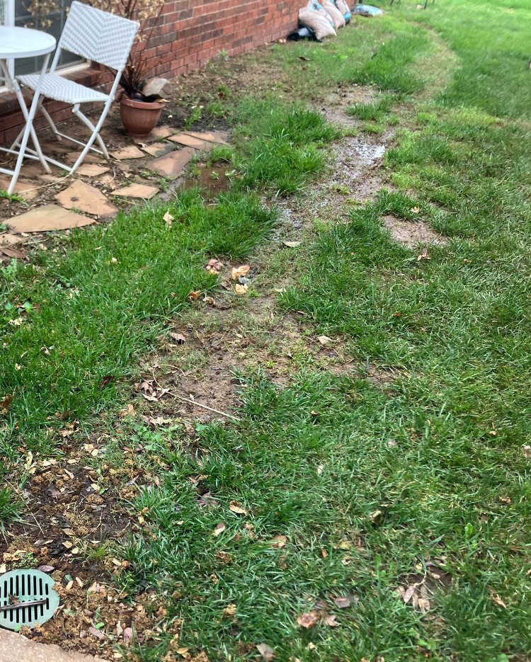 Standing water from a failed French drain that never reached daylight